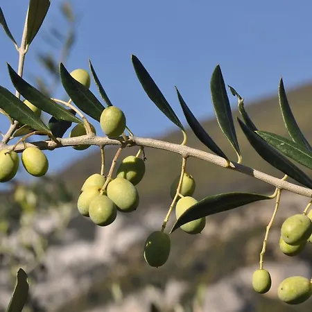 Farma Laghel7 Agritur Arco