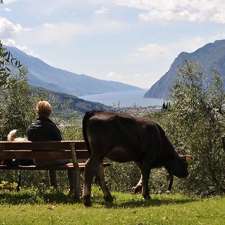 Alloggio per agriturismo Laghel7 Agritur